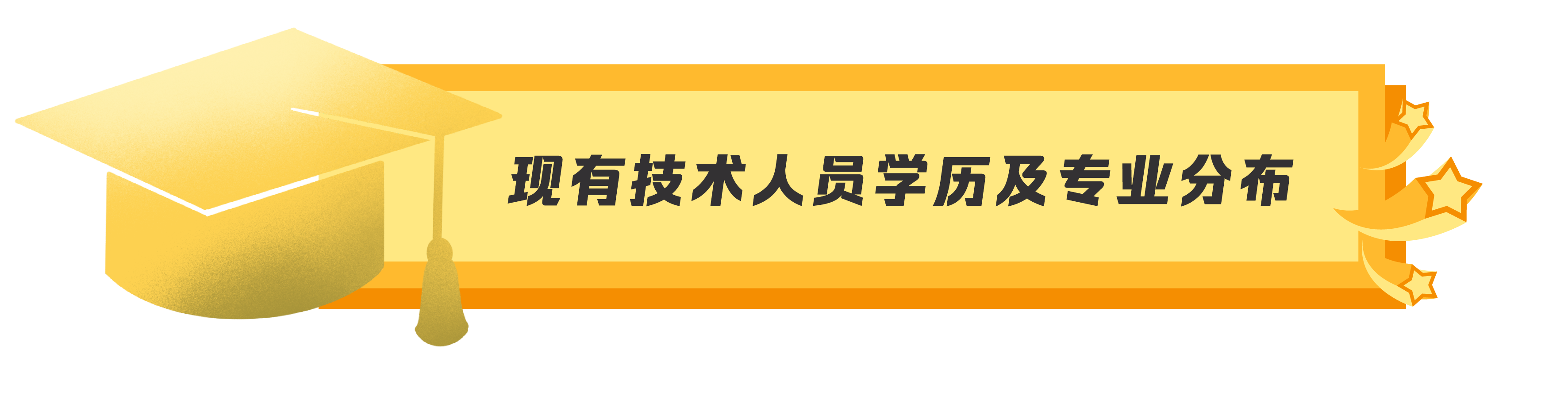 公司现有技术人员学历及专业分布